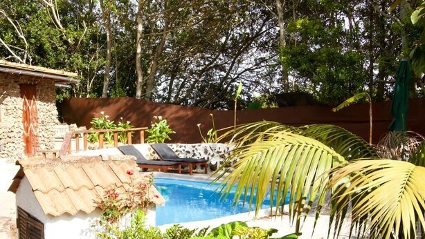 A pool area with a stone wall, a small building with a tiled roof, and lush greenery including palm trees.