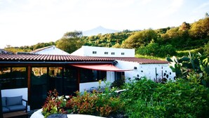 A modern house with a patio, surrounded by lush greenery and a mountain in the background.