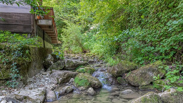A natural stream with rocks and moss, surrounded by dense greenery. - House By The Stream in Soca Valley (Kanal)