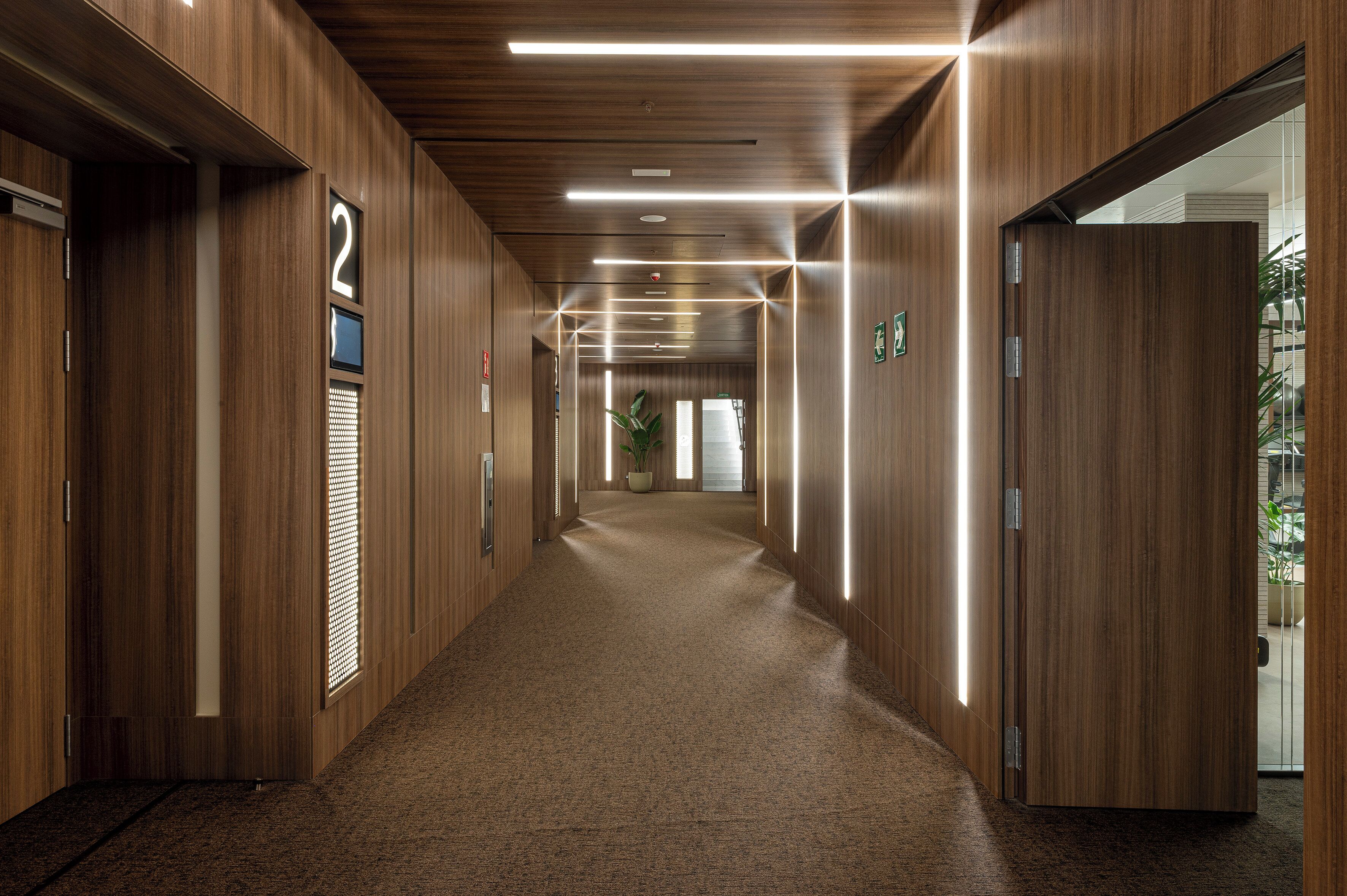 A modern hallway with wooden paneling, a carpeted floor, and illuminated ceiling lights.