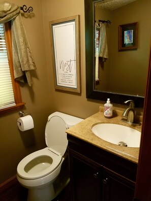 A bathroom with a toilet, sink, and mirror. - Over the river and through the woods to the tree house we go! (Clyde)