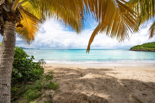 Spacious Luxury Open Plan Condo: Convenient Location.  Large Balcony. Sea View.