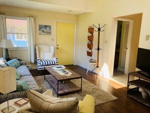 TV, DVD player, books, video library