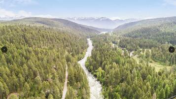 Ein Fluss schlängelt sich durch einen dichten Wald, im Hintergrund erheben sich Berge.