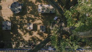Uklassifisert bilde, 5 av 26, knapp