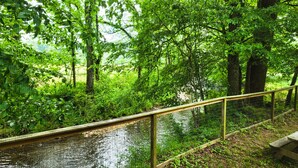 Eine Holzbrücke über einem ruhigen Fluss, umgeben von üppigem Grün und Bäumen.