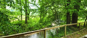 Luxury tiny cabin on the Valley River with mountain views.