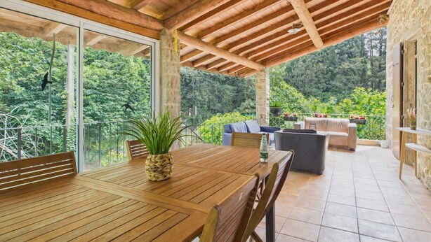 Une table en bois entourée de chaises, une plante en pot et une vue sur une forêt luxuriante, visible à travers de grandes fenêtres.
