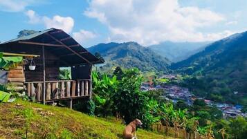 Enceinte de lâhĂ©bergement