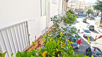 Àrea exterior de l'allotjament