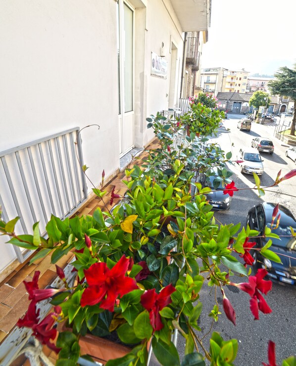 Property grounds - Lamezia Terme family apartment "girasoli" (Lamezia Terme)