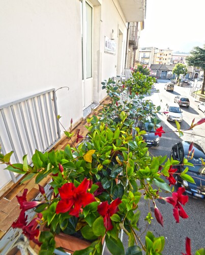 Lamezia Terme family apartment "girasoli"