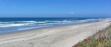 En la playa, camastros y toallas de playa