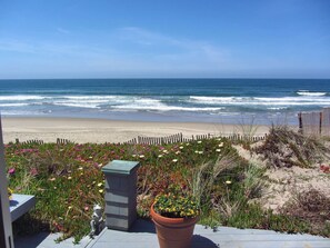 On the beach, sun-loungers, beach towels - Amazing House On The Beach!! (Watsonville)