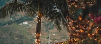 Gardens Guest House-hostel