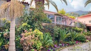 Ein Haus mit Garten, einschließlich einer Palme und verschiedenen Pflanzen.