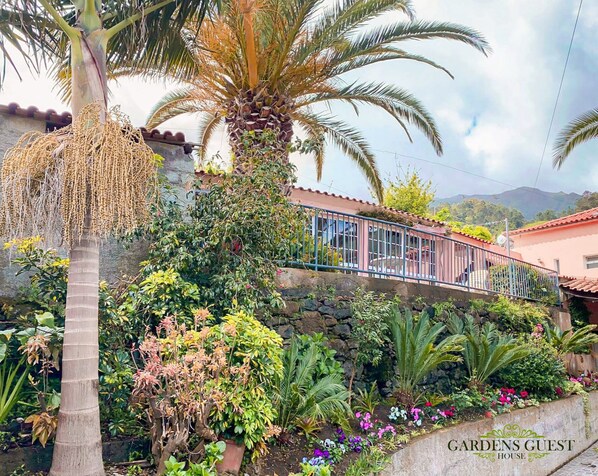 Ein Haus mit Garten, einschließlich einer Palme und verschiedenen Pflanzen.