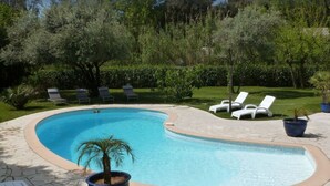 Una piscina curvada con sillas de descanso y una palmera.