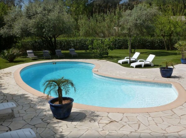 A curved swimming pool with lounge chairs and a palm tree. - Joli T3 Dans Villa, Piscine , 300m de la mer (Cavalaire-sur-Mer)