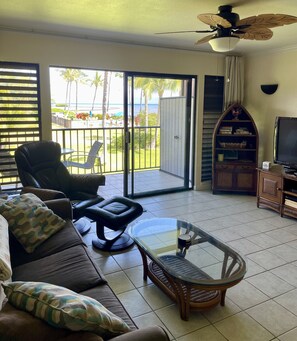 Smart TV, DVD player, books, stereo