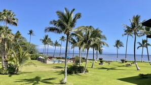 Un resort tropical con piscina, palmeras y vistas al océano.