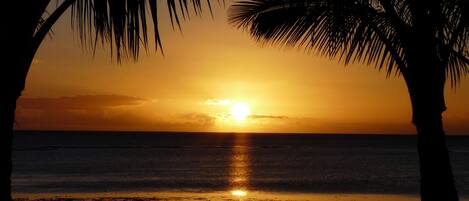 On the beach, sun-loungers, beach towels