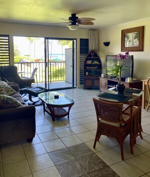 Smart TV, DVD player, books, stereo