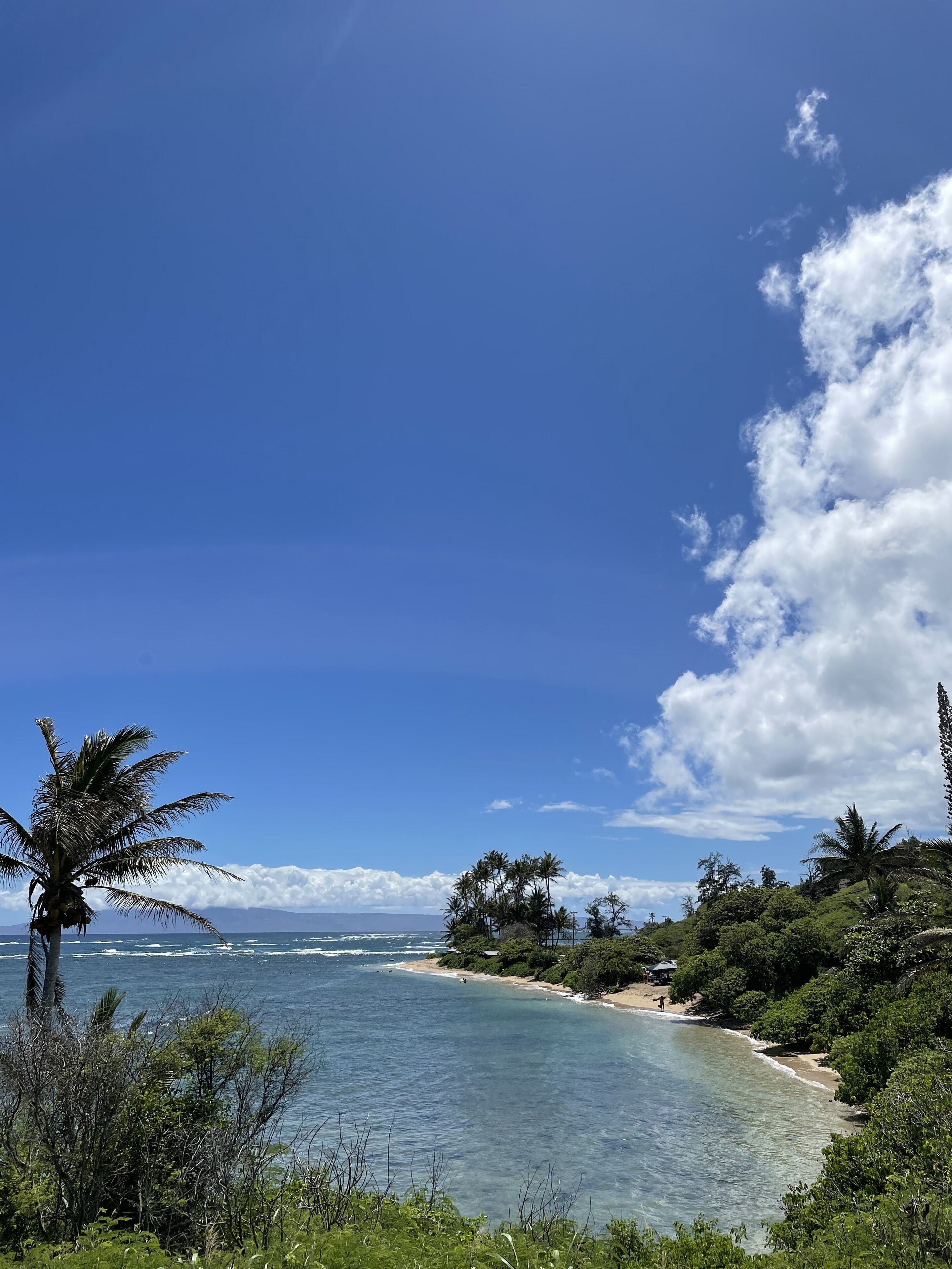 Ubicación a pie de playa, tumbonas y toallas de playa