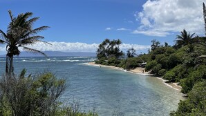 Paisaje costero con cielos despejados, una playa arenosa y abundante vegetación.
