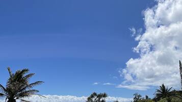Ubicación a pie de playa, tumbonas y toallas de playa