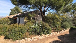 Una casa rústica con un camino de piedra que la lleva hasta ella, rodeada de abundante vegetación y un gran árbol.