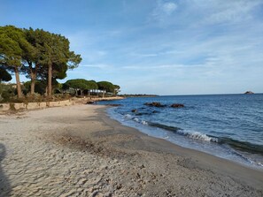 Plage, chaises longues