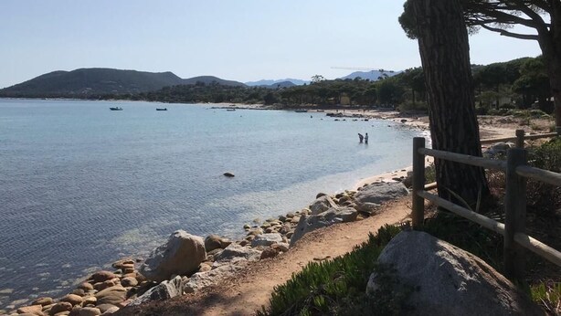 Una playa costera con agua cristalina, costa rocosa y una valla de madera.