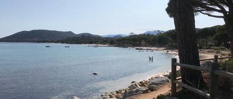 En la playa y camastros