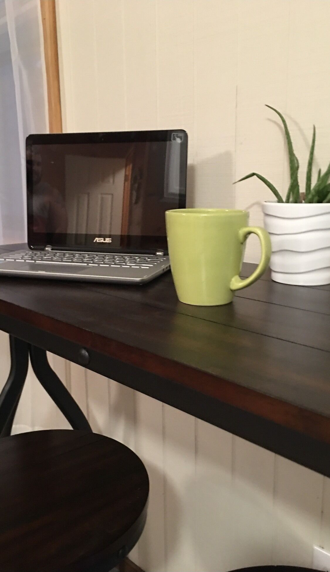 A laptop on a desk with a green mug and a potted plant.