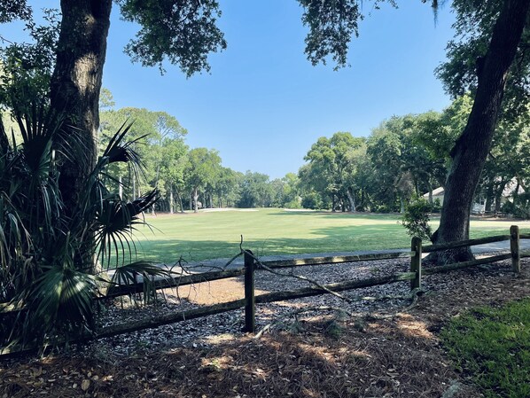 Escape to a serene natural oasis surrounded by mature trees and a well-maintained grassy area.