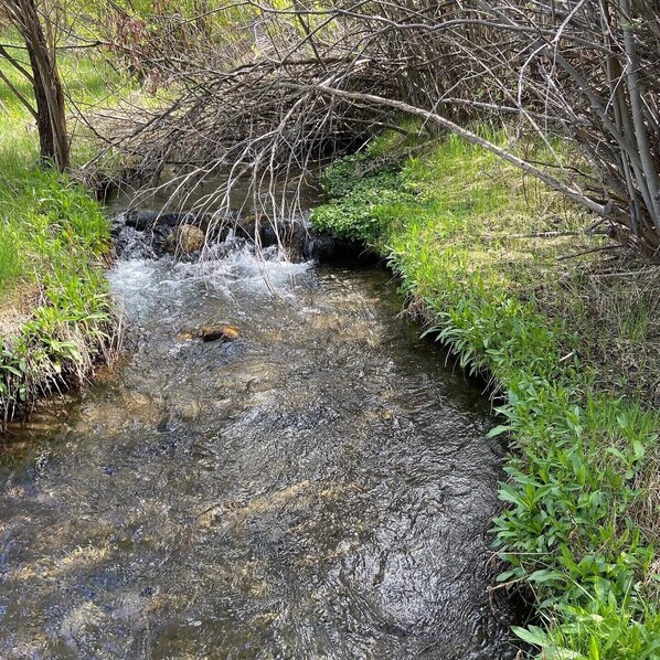Un pequeño arroyo serpentea por un paisaje natural con vegetación circundante.