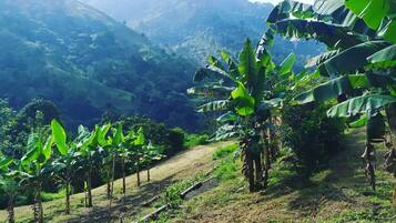 المنطقة المحيطة بالمنشأة