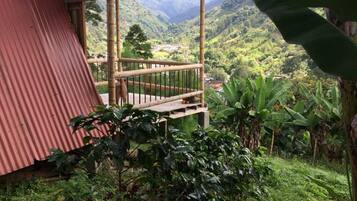 Àrea exterior de l'allotjament