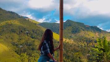 المنطقة المحيطة بالمنشأة