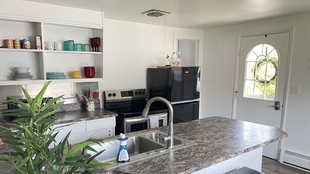 A modern kitchen with white cabinetry, a granite countertop, a stainless steel sink, a black refrigerator, and a potted plant. - West Avenue Place, quiet neighborhood, close to downtown  (Cody)
