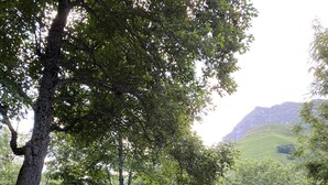 An outdoor dining area with a table and chairs, surrounded by greenery and a mountainous backdrop. - WARM ALTITUDE BARN, Cambasque, 8 people (Cauterets)