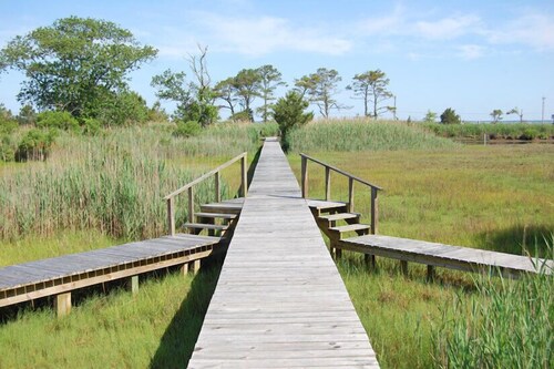 Miller’s Marsh- 2BR | Marsh Views | Shared Pier