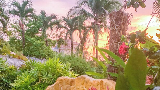 Pool - Latitude Adjustment, Heart of Manuel Antonio, 1BD (Quepos)