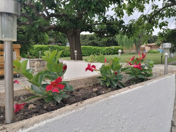 Áreas de la propiedad