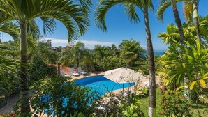 Une piscine entourée de palmiers et de verdure, avec l’océan en toile de fond.