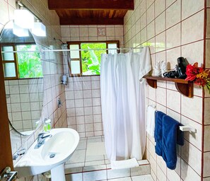 Chuveiro, secador de cabelo, toalhas de banho, sabonete