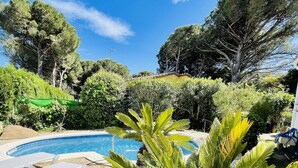 Una piscina rodeada de abundante vegetación y árboles.