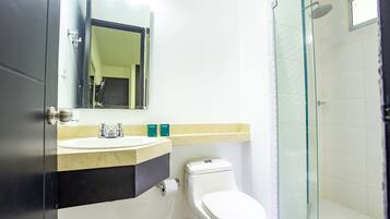 Een badkamer met toilet, wastafel en een douchecabine met glazen wanden.