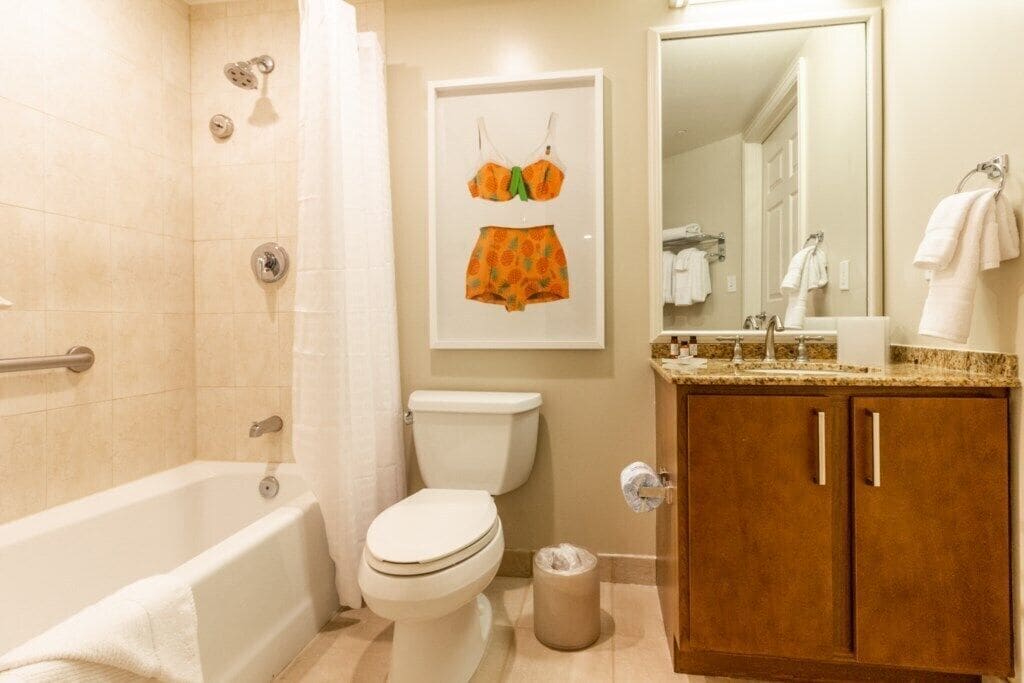 Hair dryer, towels, toilet paper